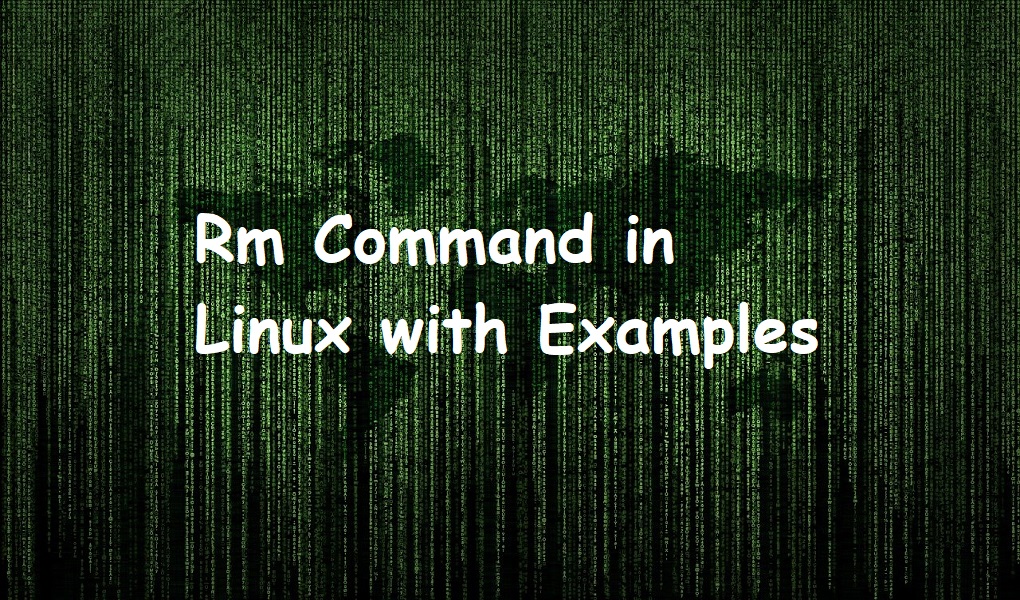 Rm Command in Linux with Examples