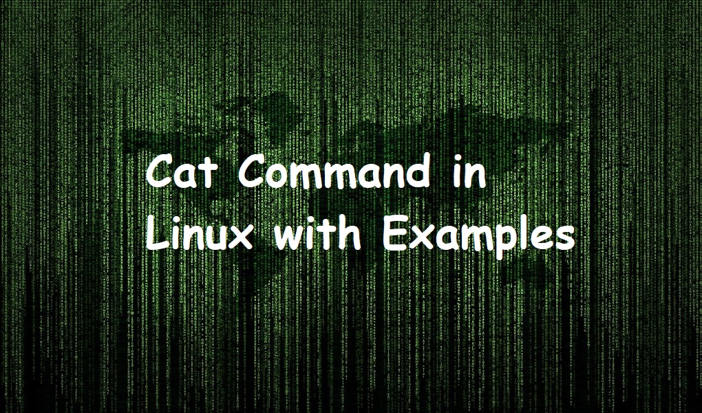 Cat Command in Linux with Examples