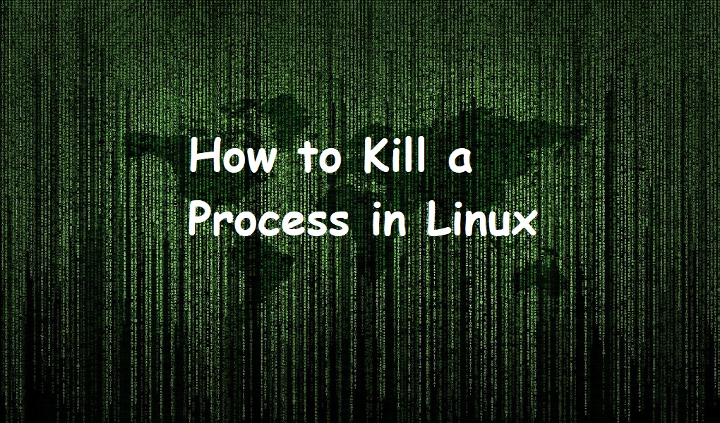 How to Kill a Process in Linux