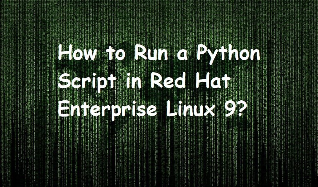 How to Run a Python Script in Red Hat Enterprise Linux 9?