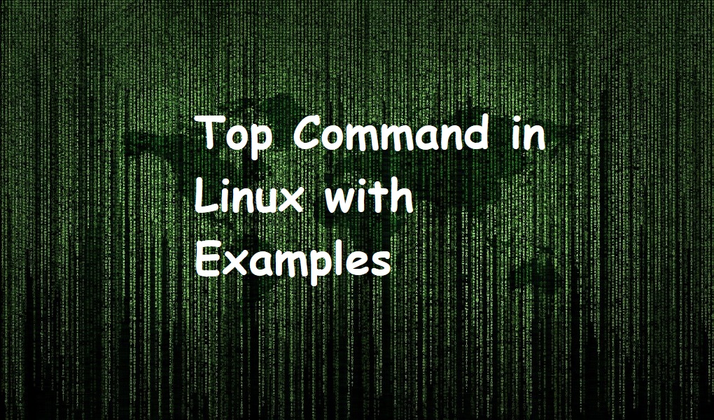 Top Command in Linux with Examples
