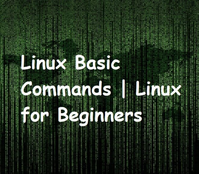 Linux Basic Commands | Linux for Beginners