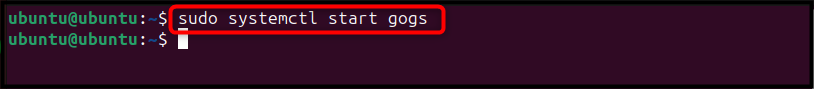 sudo systemctl start gogs