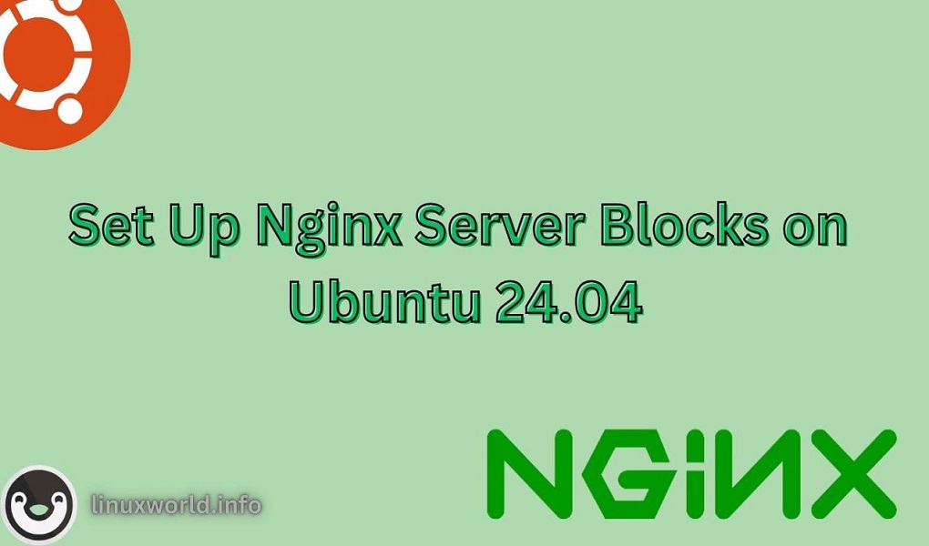 Set up Nginx server blocks on Ubuntu 24.04