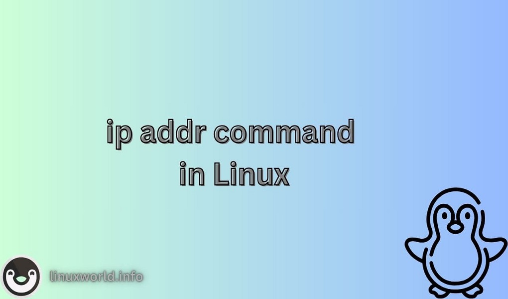 7 Examples of ip addr Command in Linux