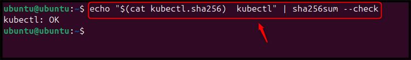 echo "$(cat kubectl.sha256) kubectl" | sha256sum --check