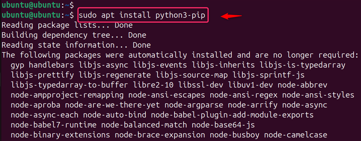 sudo apt install python3-pip