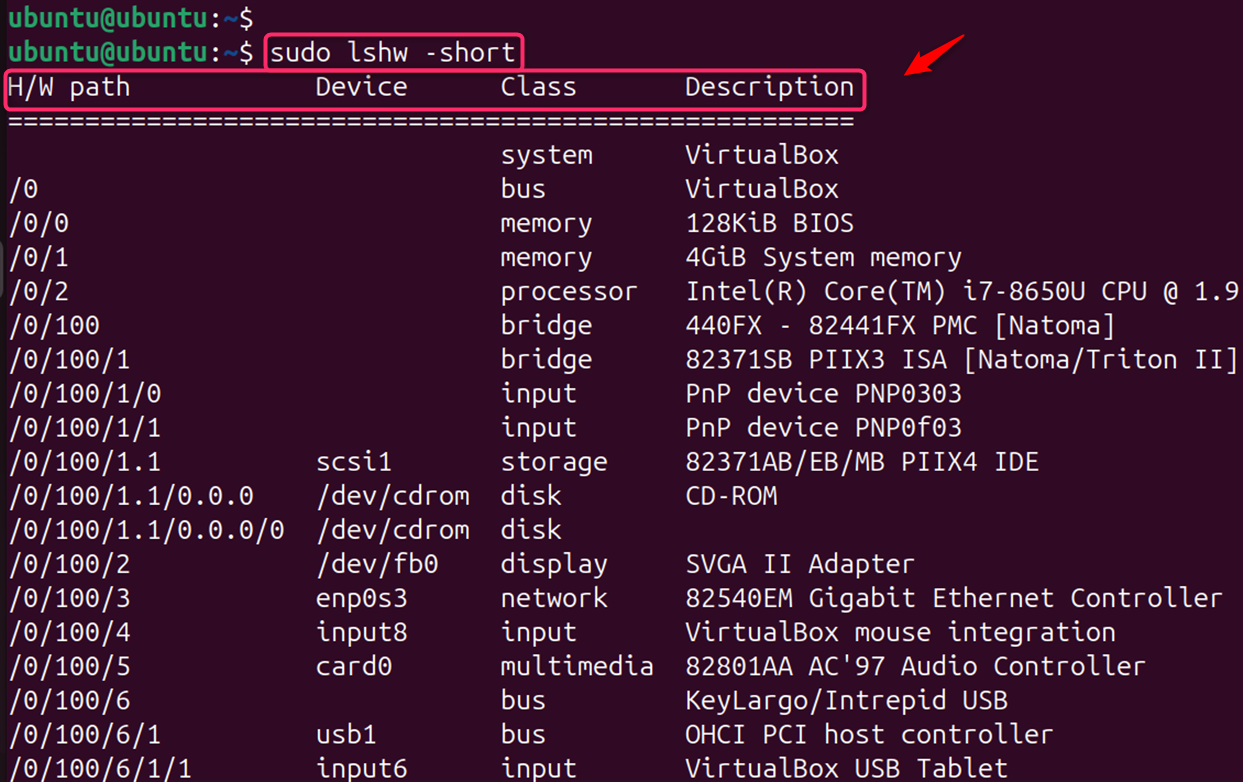 sudo lshw -short