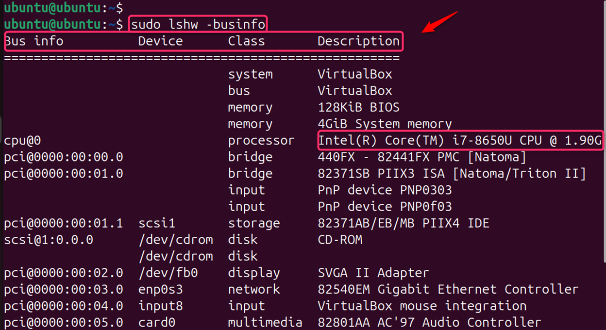 sudo lshw -businfo
