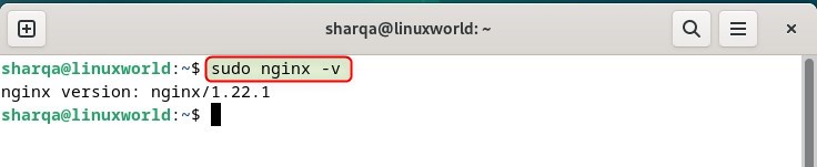 Checking nginx version on Debian 12