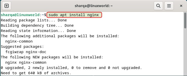 Installing nginx on Debian 12