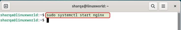 Starting nginx on Debian 12