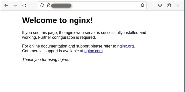 default Nginx landing page appeared